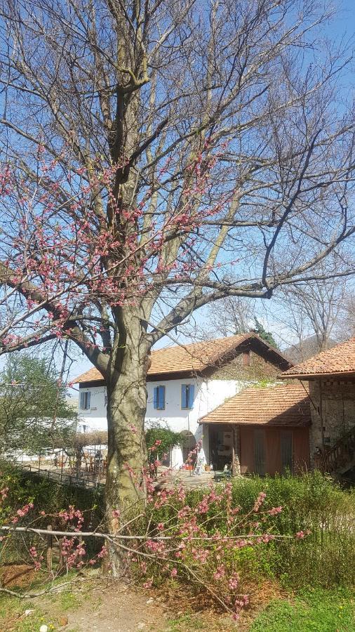 B&B Il Gatto Nero Castelveccana ภายนอก รูปภาพ