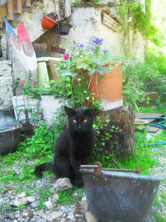 B&B Il Gatto Nero Castelveccana ภายนอก รูปภาพ